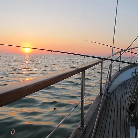 Apartman Sailing 아파트 블로톤퓌레드