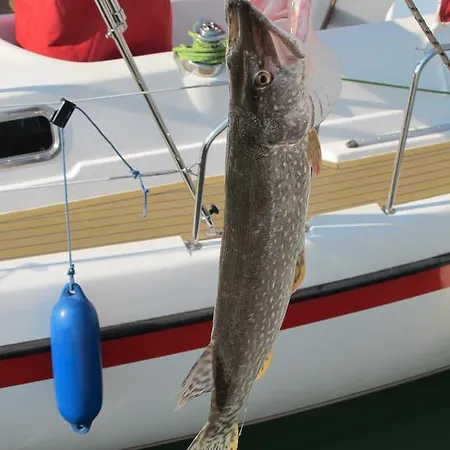 Apartman Sailing * 블로톤퓌레드